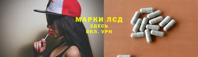 тгк Пролетарск