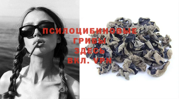 сатива Михайлов