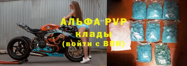 гидра Михайловск