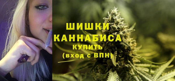 сатива Михайлов